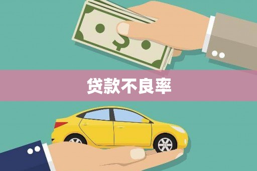 德钦贷款不良率