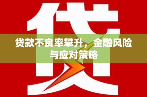 德钦贷款不良率攀升，金融风险与应对策略